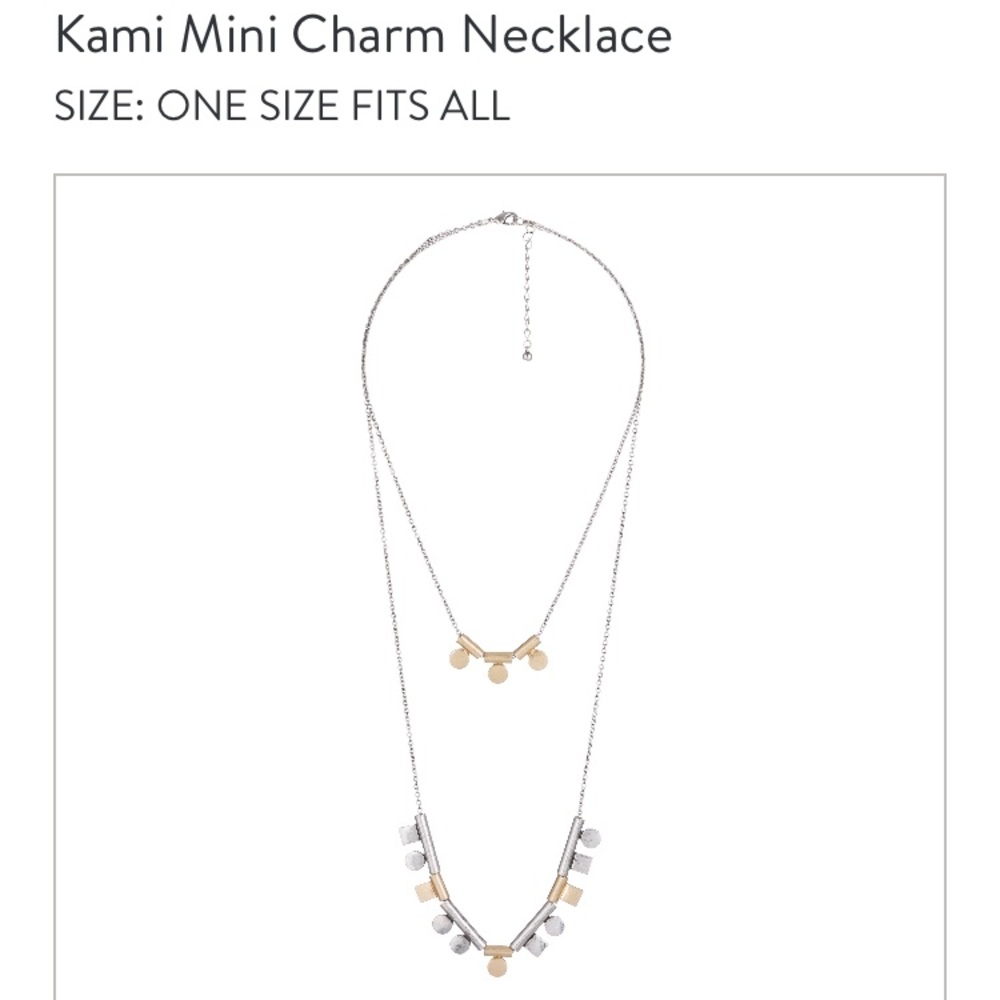 Stitch fix two tone necklace